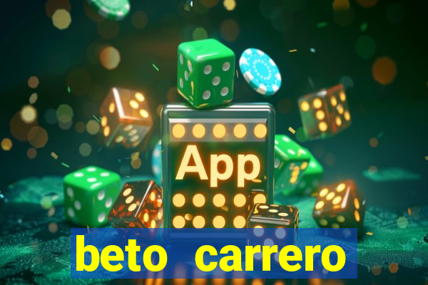 beto carrero cidades proximas